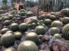 -南通洲际绿博园