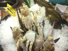 -尚海豆捞(乐虹坊店)