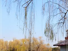 -丰台花园