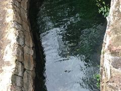 -抚仙湖禄充风景区