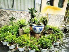 -天怡·鱼工厂(梅溪湖店)