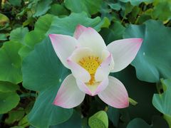 -龙环葡韵住宅式博物馆