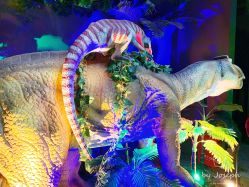 -恐龙探索乐园(磁器口店)