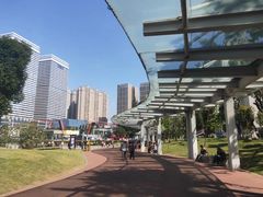 -花果园湿地公园