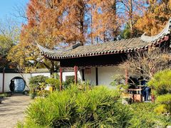 -上海醉白池公园