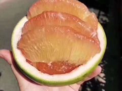 黄金柚-上海龙吴水胜海发市场