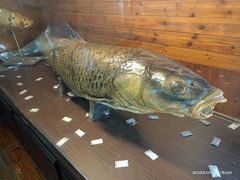 -南京金牛湖风景区