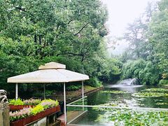 -西郊宾馆·1921餐厅