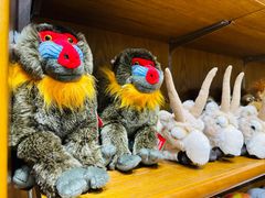 -国家自然博物馆