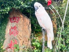 -四海楼(如皋定慧禅寺店)