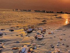 -北海金海湾红树林生态旅游区