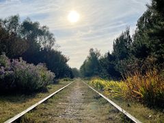 -永定河休闲森林公园