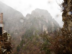 -牛背梁国家森林公园