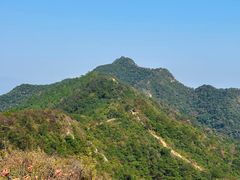 -羚羊峡古栈道森林公园