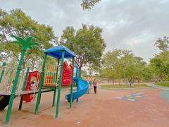 -大兴滨河森林公园