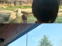 -杭州野生动物世界