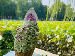 -莲池书院博物馆