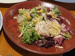 田园时蔬沙拉-布拉格餐厅· 中欧捷克菜(全国首店)