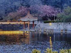 -北岭山森林公园