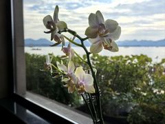 -湖畔居茶楼(湖滨店)