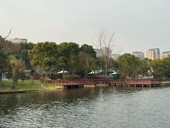 -新江湾城公园