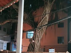 -联生老店(集美店)