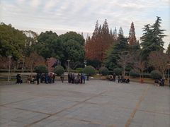 -泰州凤城河风景区-泰山公园