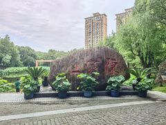 -陈家山荷花公园