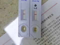 -艾贝尔宠物诊疗