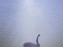 -天津东丽湖风景区