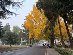 -四川大学(望江校区)