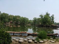 -太阳部落
