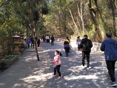 -灵岩山风景区