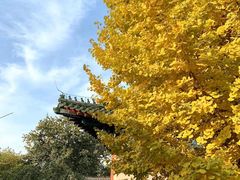 -北京市府学胡同小学