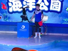 -石家庄海洋公园