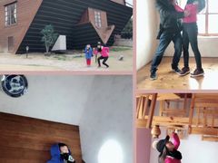 -金山农民画村-枫泾波兰倒置屋