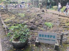 -海口火山口国家地质公园