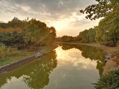 -大兴滨河森林公园