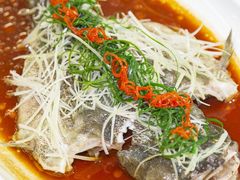 -秦月轩·陕西家乡菜(阜成路·五棵松店)