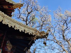 -护国法轮寺