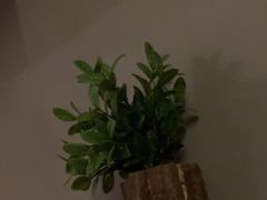 -泰适SPA馆丨精油·按摩·足道(后海地铁口店)