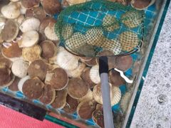 -仙螺岛海鲜自助餐厅(总店)