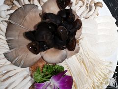 -秦宝雪花牛肉养生火锅(大兴九臻店)