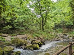 -溪口-滕头旅游景区