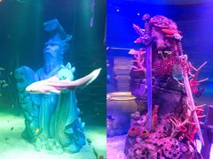 -沈阳海洋探索中心