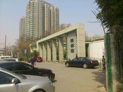 -紫竹院公园冰场