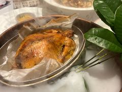 -桂满陇·海市蜃楼·黑金(国金店)