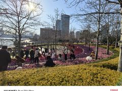 -北外滩滨江绿地