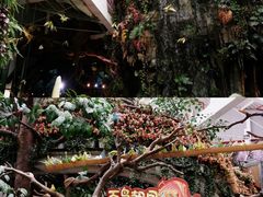 -正佳雨林生态植物园