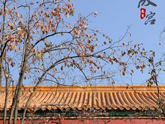 -故宫博物院(故宫)